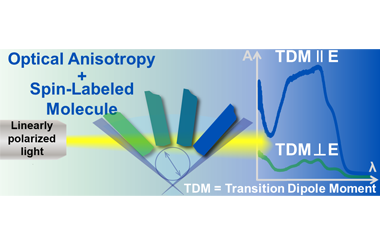 Engineering optical anisotropy in paramagnetic organic crystals: Dichroism of nitronyl nitroxide radicals 2025.100653